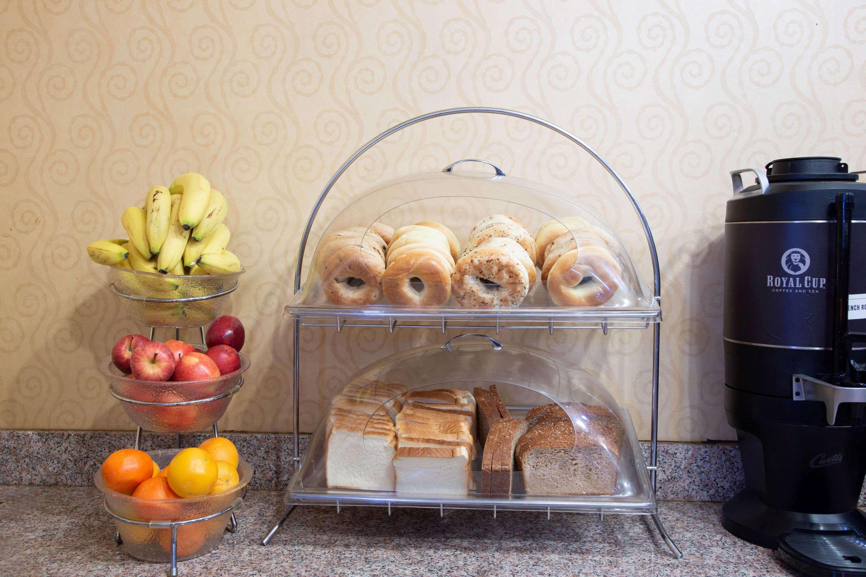 University Inn & Suites Berkeley Ngoại thất bức ảnh